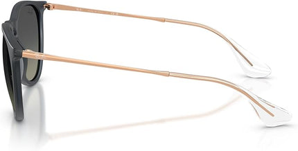 Ray-Ban womens Rb4171 Erika Round Sunglasses