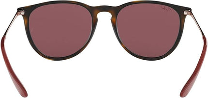 Ray-Ban womens Rb4171 Erika Round Sunglasses
