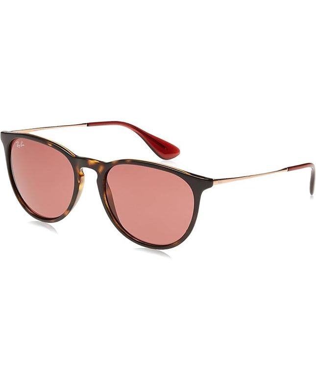 Ray-Ban womens Rb4171 Erika Round Sunglasses