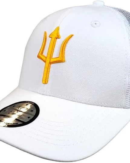 Capiche [99+ Variations] Special Series Snapback Cap - One Size Unisex Men