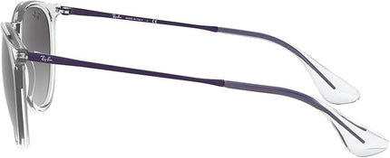 Ray-Ban womens Rb4171 Erika Round Sunglasses