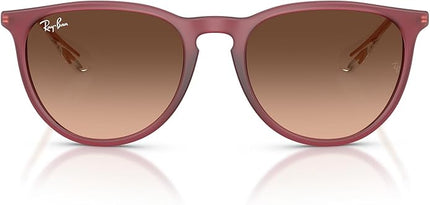 Ray-Ban womens Rb4171 Erika Round Sunglasses