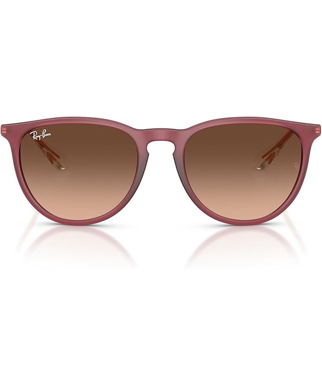 Ray-Ban womens Rb4171 Erika Round Sunglasses
