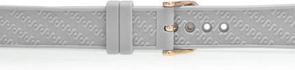 Steinhausen Arbon Collection Stainless Steel Silicone Interchangable Band Women's Watch