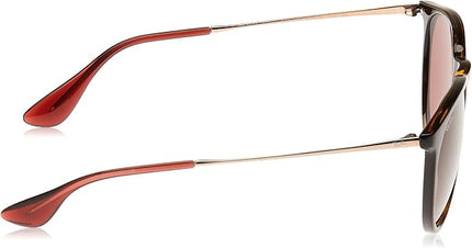 Ray-Ban womens Rb4171 Erika Round Sunglasses