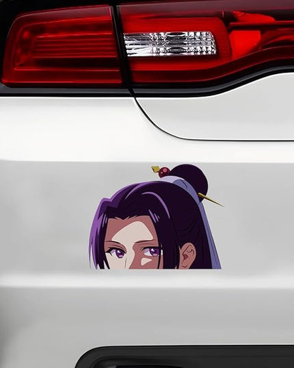 The Court Herbalist Diaries MaoMao Jinshi Anime Manga Decal Stickers for Cars Laptop Skateboard Wall Decor UV Resistant (Jinshi)