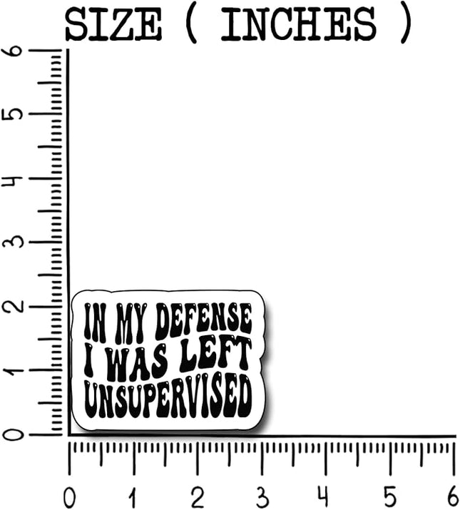 (3Pcs) in My Defense I was Left Unsupervised Sticker, Funny Motivational Sayings Humorous Decal Decorate Books Laptop Phone Water Bottles Kindles Tumbler Waterproof Vinyl Decorate Sticker 3" Inch