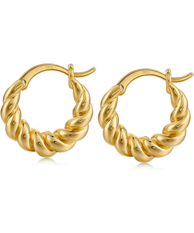 18K Gold Plated Chunky Hoop Earrings for Women Fashion Thick Gold Hoops Set Jewelry for Birthday Christmas Gifts