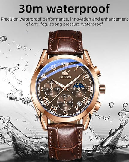 OLEVS Men's Watches Leather Strap Analog Quartz Watch, Fashion Big Dial Date Waterproof Watch, Dress Luxury Luminous Men Watches