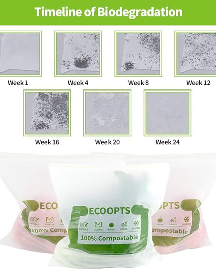 100% Compostable Sandwich Zip Bag | ECO-Friendly Food Storage Bags | Freezer Bag | Plant-Based BPA-free | Seal well for Fruit,Food and Snack (2, Medium)