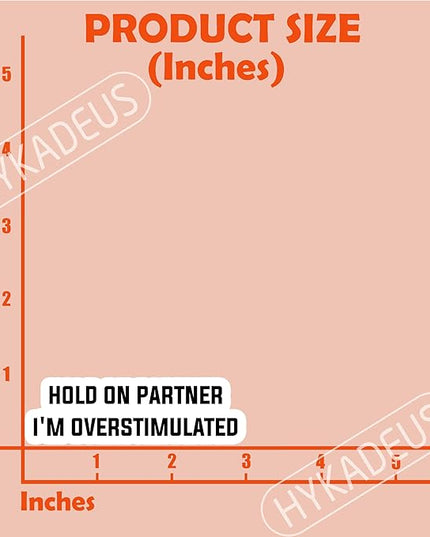 (3Pcs) Hold On Partner I’m Overstimulated Stickers Funny Emotion Sticker Sarcastic Mood Humor Vinyl Decals for Water Bottle, Laptop, Journal, Tumbler, Scrapbooking, 3" x 1"