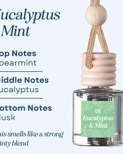 C&E Craft Co Hanging Car Air Freshener Diffuser 2 Pack, Long Lasting Fragrance Oil Car Freshener, Glass Bottle Auto Air Freshener, Made in USA (Eucalyptus & Mint)