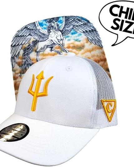 Capiche [99+ Variations] Special Series Snapback Cap - One Size Unisex Men