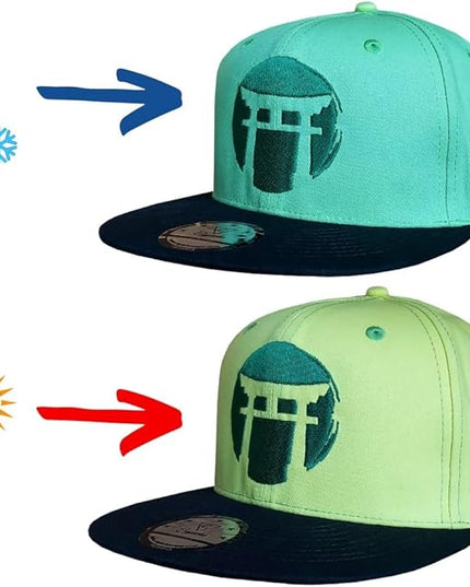 Capiche [99+ Variations] Special Series Snapback Cap - One Size Unisex Men