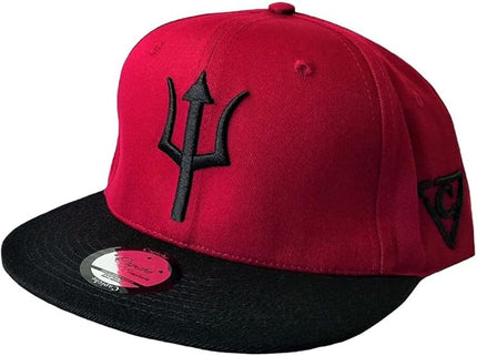 Capiche [99+ Variations] Special Series Snapback Cap - One Size Unisex Men