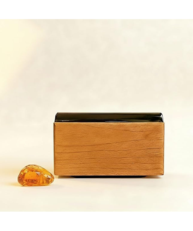 Wood Car Air Freshener - Natural Odor Eliminator & Long Lasting Scent Diffuser for Visor Clip - Car Interior Accessories for All Vehicles (Amber Starter Kit)