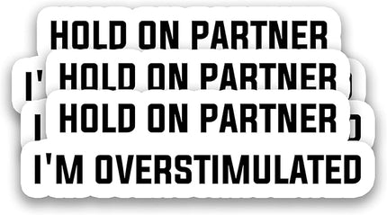 (3Pcs) Hold On Partner I’m Overstimulated Stickers Funny Emotion Sticker Sarcastic Mood Humor Vinyl Decals for Water Bottle, Laptop, Journal, Tumbler, Scrapbooking, 3" x 1"