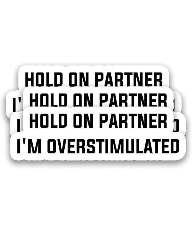 (3Pcs) Hold On Partner I’m Overstimulated Stickers Funny Emotion Sticker Sarcastic Mood Humor Vinyl Decals for Water Bottle, Laptop, Journal, Tumbler, Scrapbooking, 3" x 1"