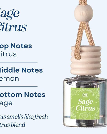 C&E Craft Co Hanging Car Air Freshener Diffuser 2 Pack, Long Lasting Fragrance Oil Car Freshener, Glass Bottle Auto Air Freshener, Made in USA (Sage Citrus)