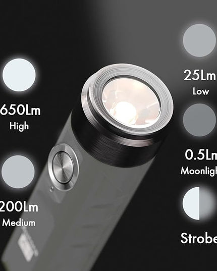 RovyVon A1 Gen 4 Rechargeable EDC Keychain Flashlight 650 Lumens High Lumens Outdoor Mini Keychain Light for Everyday Carry, Camping, Thanksgiving (Grey)