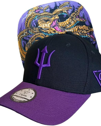 Capiche [99+ Variations] Special Series Snapback Cap - One Size Unisex Men