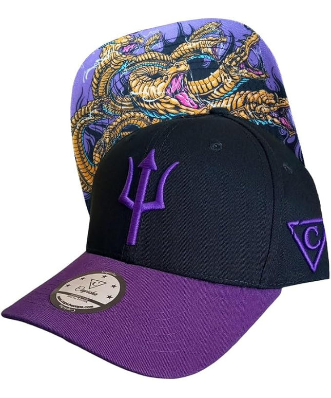 Capiche [99+ Variations] Special Series Snapback Cap - One Size Unisex Men