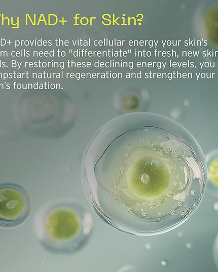 Aramore NAD+ Cell Energizing Skin Care Treatment with Proprietary NAD+ Precursor Complex, Clinically Proven to Target 12 Signs of Aging - 15ml