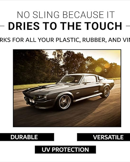 CAR GUYS Tire Shine Spray | The Perfect Shine | Durable and User Friendly Tire Dressing | Long Lasting UV Protection for Black Tires, Wheels, & Rubber | 18 Oz Kit with Applicator Pad