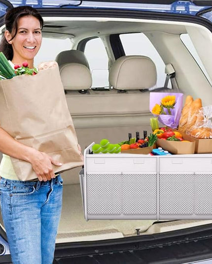 Homeve Trunk Organizer, Car Storage, Reinforced Handles, Collapsible Multi-Compartment, Foldable, Waterproof, Sturdy, 600D Oxford Polyester For Car, SUV, Mini-Van, White, 2 Compart-Small