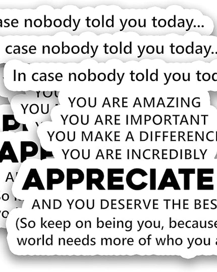 (3Pcs) in Case Nobody Told You Today You are Amazing & Appreciated Stickers Motivational Inspirational Encouraging Quote Vinyl Decals for Laptop, Water Bottle, Journal, Planner, 3" x 2.3"