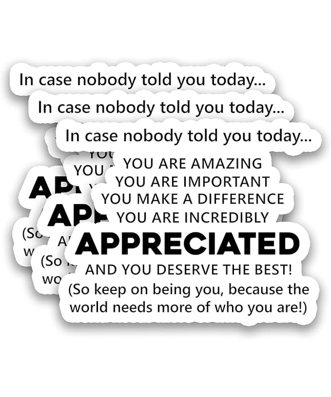(3Pcs) in Case Nobody Told You Today You are Amazing & Appreciated Stickers Motivational Inspirational Encouraging Quote Vinyl Decals for Laptop, Water Bottle, Journal, Planner, 3" x 2.3"