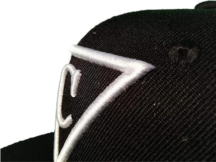 Capiche [99+ Variations] Special Series Snapback Cap - One Size Unisex Men