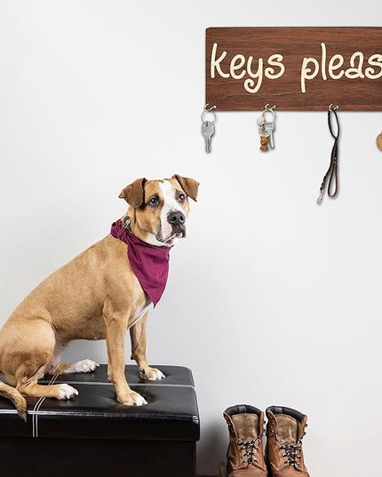 MBYHP Wooden Key Holder with 4 Hooks - Keys Please Decorative Key Organizer for Wall - Home Office Kitchen Hallway Entryway Wall Decor for Keys, Dog Leash Hanging - A04