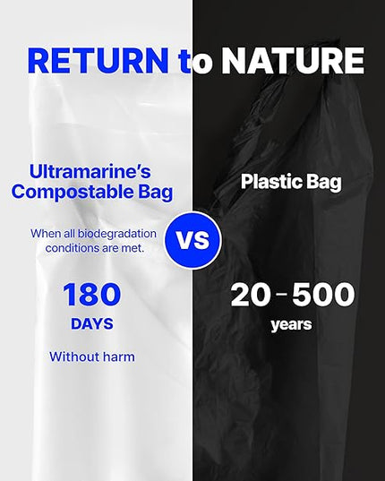 Eco Friendly Clear Poly Bags with Suffocation Warning - 6" x 9" (100 Count) - Strong Self Seal - Biodegradable Premium Frosted Bag for Packaging (6 x 9)