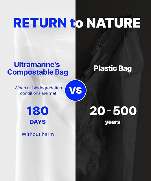 Eco Friendly Clear Poly Bags with Suffocation Warning - 6" x 9" (100 Count) - Strong Self Seal - Biodegradable Premium Frosted Bag for Packaging (6 x 9)