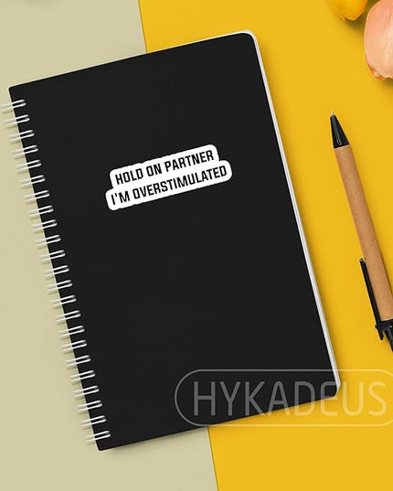 (3Pcs) Hold On Partner I’m Overstimulated Stickers Funny Emotion Sticker Sarcastic Mood Humor Vinyl Decals for Water Bottle, Laptop, Journal, Tumbler, Scrapbooking, 3" x 1"