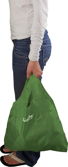 ChicoBag Original Compact Reusable Grocery Bag w/Attached Pouch and Carabiner Clip | Perfect for Shopping, Travel, Organization | Eco-Conscious Packable Tote | Pale Green (Pack of 4)