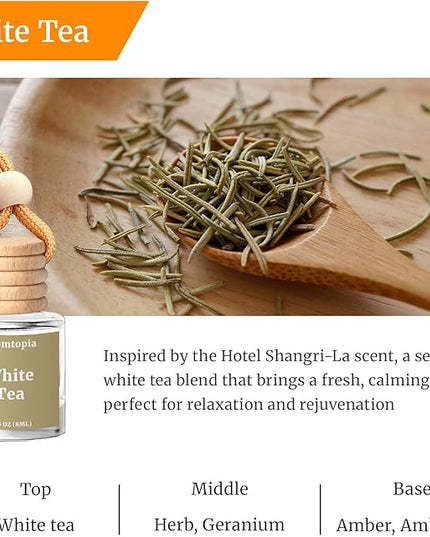 Car Air Freshener Hanging, 2 Pack Car Air Fresheners Diffuser - White Tea Fragrance Oil Air Diffuser for Car, Long Lasting Fragrance Inspired by Shangri-La Hotel