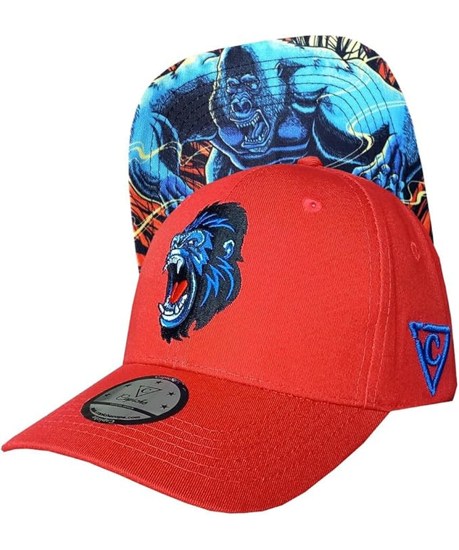 Capiche [99+ Variations] Special Series Snapback Cap - One Size Unisex Men