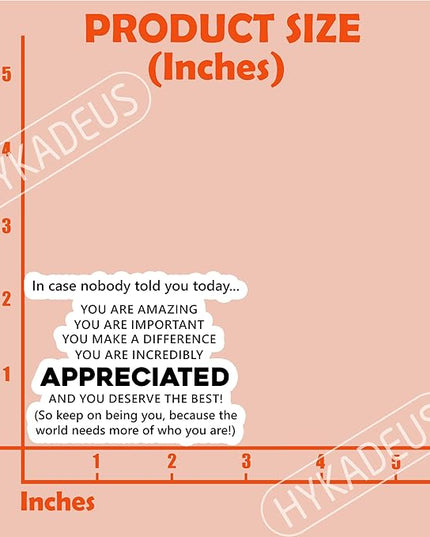 (3Pcs) in Case Nobody Told You Today You are Amazing & Appreciated Stickers Motivational Inspirational Encouraging Quote Vinyl Decals for Laptop, Water Bottle, Journal, Planner, 3" x 2.3"