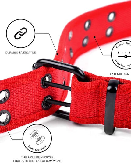 Boxed Gifts Parquet Casual Canvas Belt - Double Hole, Double Grommets for Men & Women