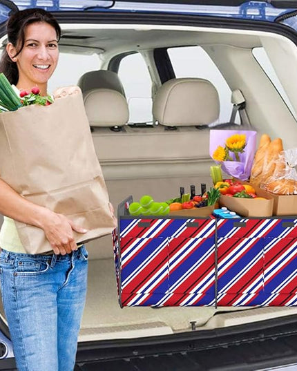Homeve Trunk Organizer, Car Storage, Reinforced Handles, Collapsible Multi-Compartment, Foldable, Waterproof, Sturdy, 600D Oxford Polyester For Car, SUV, Mini-Van, Red Blue Twill, 2 Compart