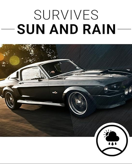 CAR GUYS Plastic Restorer | Bring Plastic, Rubber, and Vinyl Back to Life! | User Friendly Trim Restorer | Safe Auto Detailing Supplies | 8 Oz Kit with Foam Applicator