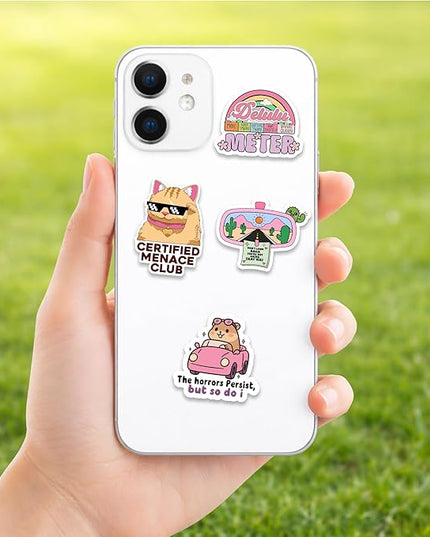 Delulu is Da Solulu by Puraesla - 300PCS Funny Holographic Stickers for Adults - Sarcastic Meme Decals for Friends,Co Workers Waterproof Vinyl for Laptop, Water Bottle, Journal