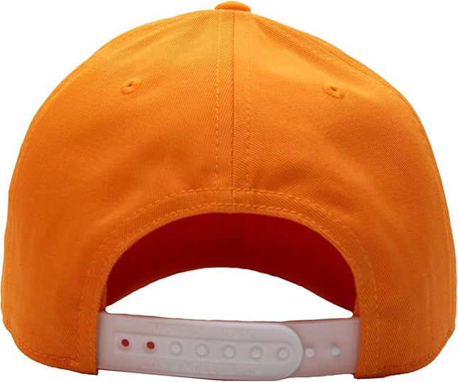 Funny Hat, Trucker Hat, Hats for Men, Hats for Women, Party Hat, Vintage Trucker, Gifts for Him, Gifts for Her, Snapback