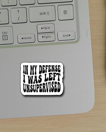 (3Pcs) in My Defense I was Left Unsupervised Sticker, Funny Motivational Sayings Humorous Decal Decorate Books Laptop Phone Water Bottles Kindles Tumbler Waterproof Vinyl Decorate Sticker 3" Inch