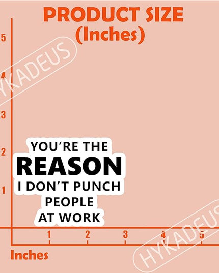 (3Pcs) You’re The Reason I Don’t Punch People at Work Stickers Funny Office Humor Sarcastic Work Quote Vinyl Decals for Laptop, Water Bottle, Desk, 3" x 2.3"