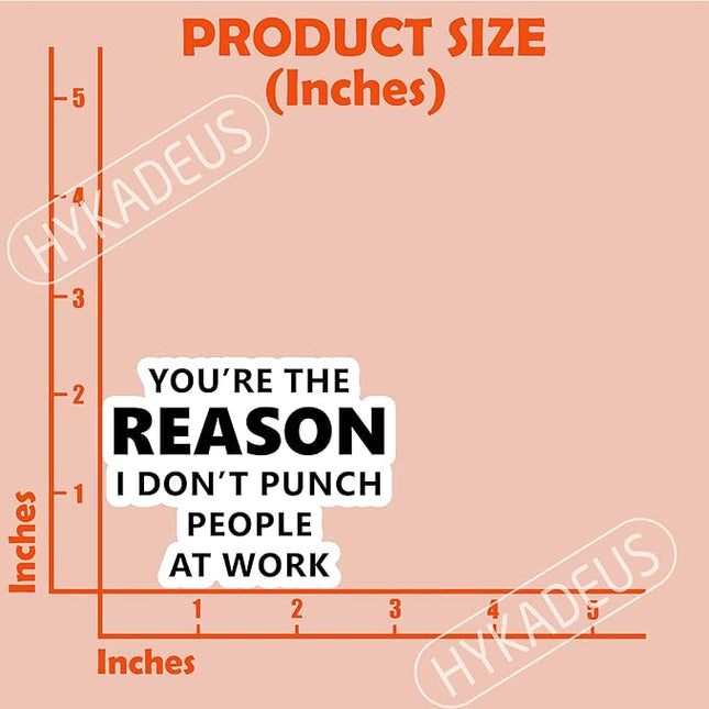 (3Pcs) You’re The Reason I Don’t Punch People at Work Stickers Funny Office Humor Sarcastic Work Quote Vinyl Decals for Laptop, Water Bottle, Desk, 3" x 2.3"
