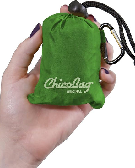 ChicoBag Original Compact Reusable Grocery Bag w/Attached Pouch and Carabiner Clip | Perfect for Shopping, Travel, Organization | Eco-Conscious Packable Tote | Pale Green (Pack of 4)