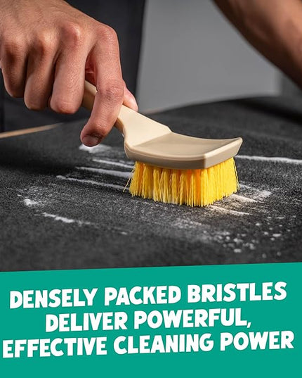 Chemical Guys Induro 7 Heavy Duty Interior Carpet&Upholstery Detailing Brush – Durable Bristles,Car Carpet Brush for Deep Cleaning Fabric,Mats&Seats,Ergonomic Grip for Comfort and Control,(Pack of 12)